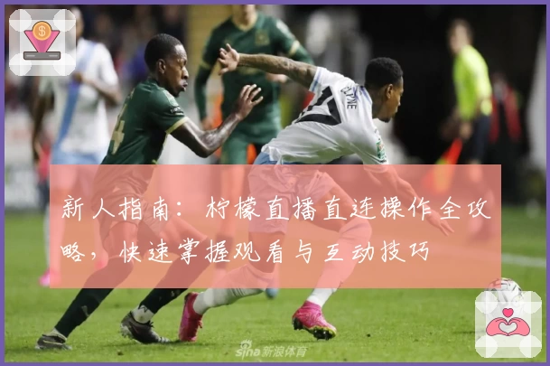 新人指南：柠檬直播直连操作全攻略，快速掌握观看与互动技巧