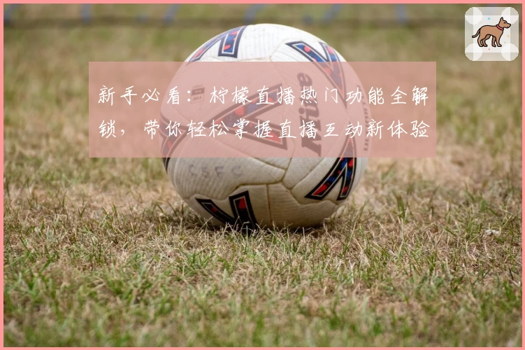 新手必看：柠檬直播热门功能全解锁，带你轻松掌握直播互动新体验