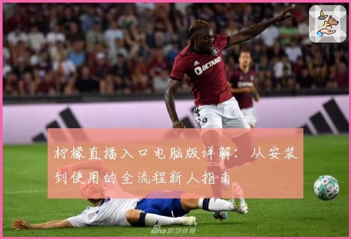 柠檬直播入口电脑版详解:从安装到使用的全流程新人指南