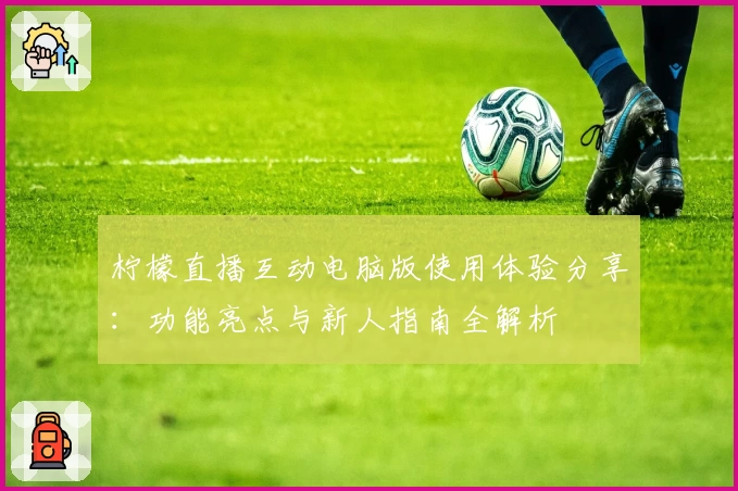 柠檬直播互动电脑版使用体验分享：功能亮点与新人指南全解析