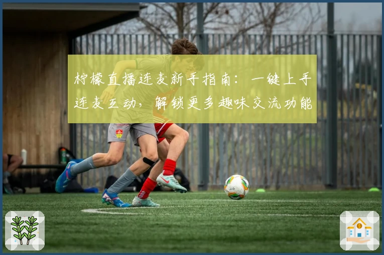 柠檬直播连麦新手指南：一键上手连麦互动，解锁更多趣味交流功能